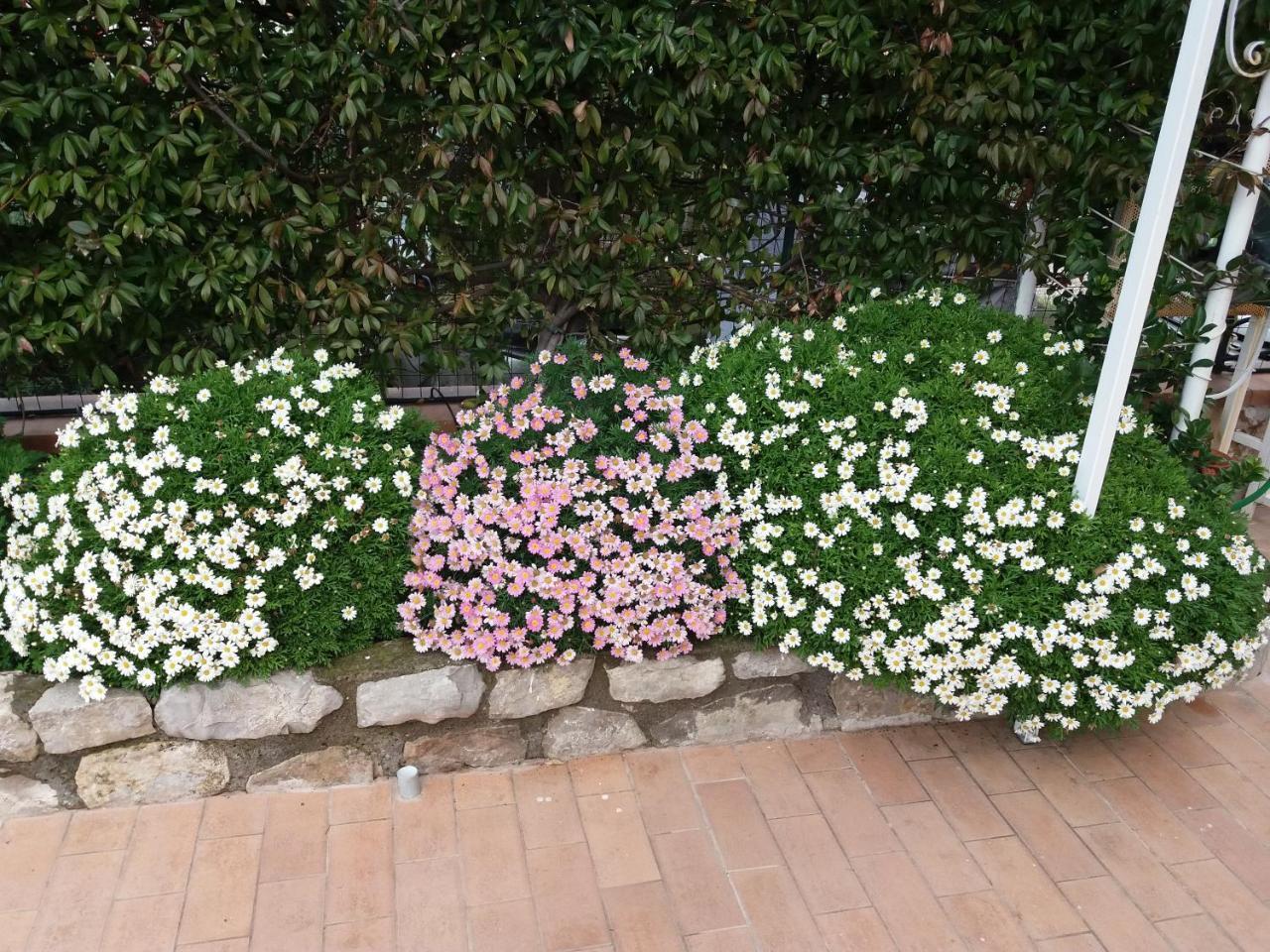 海上花园住宿加早餐旅馆 维克艾库塞 外观 照片